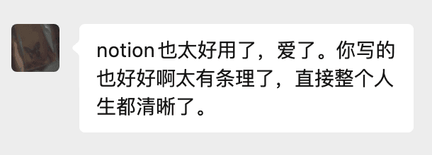 成员反馈 Notion 内容有条理，帮助自己理清思路。