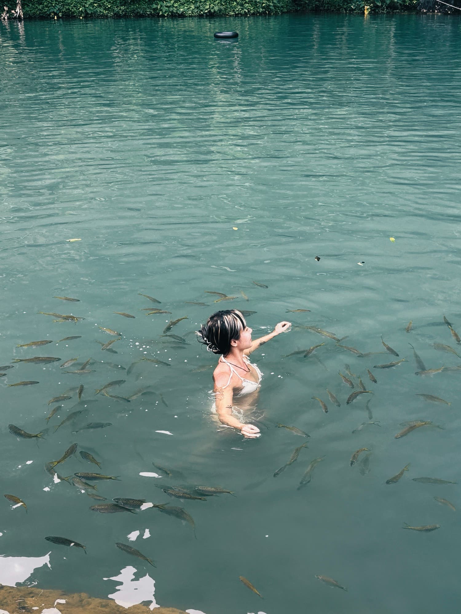 Zoe swimming with fish